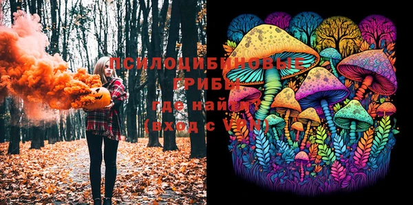 дмт Заволжье