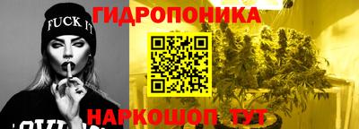 молекула духа Обнинск